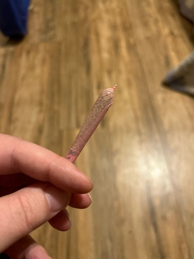 A pink 1 1/4 size cone, filled, unlit and in hand
