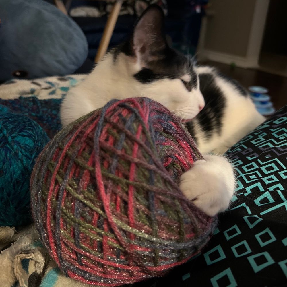A black and white cat holding onto a ball of multicoloured yarn.