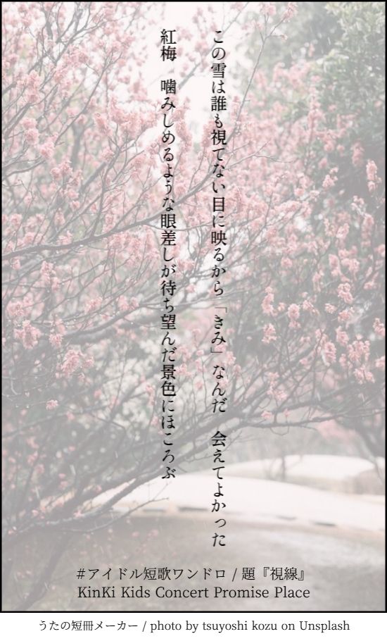 この雪は誰も視てない目に映るから「きみ」なんだ　会えてよかった

紅梅　噛みしめるような眼差しが待ち望んだ景色にほころぶ | #アイドル短歌ワンドロ / 題『視線』 | KinKi Kids Concert Promise Place