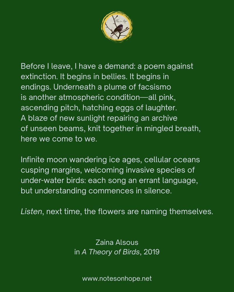 A few lines of poetry from "A Theory of Birds" by Zaina Alsous...