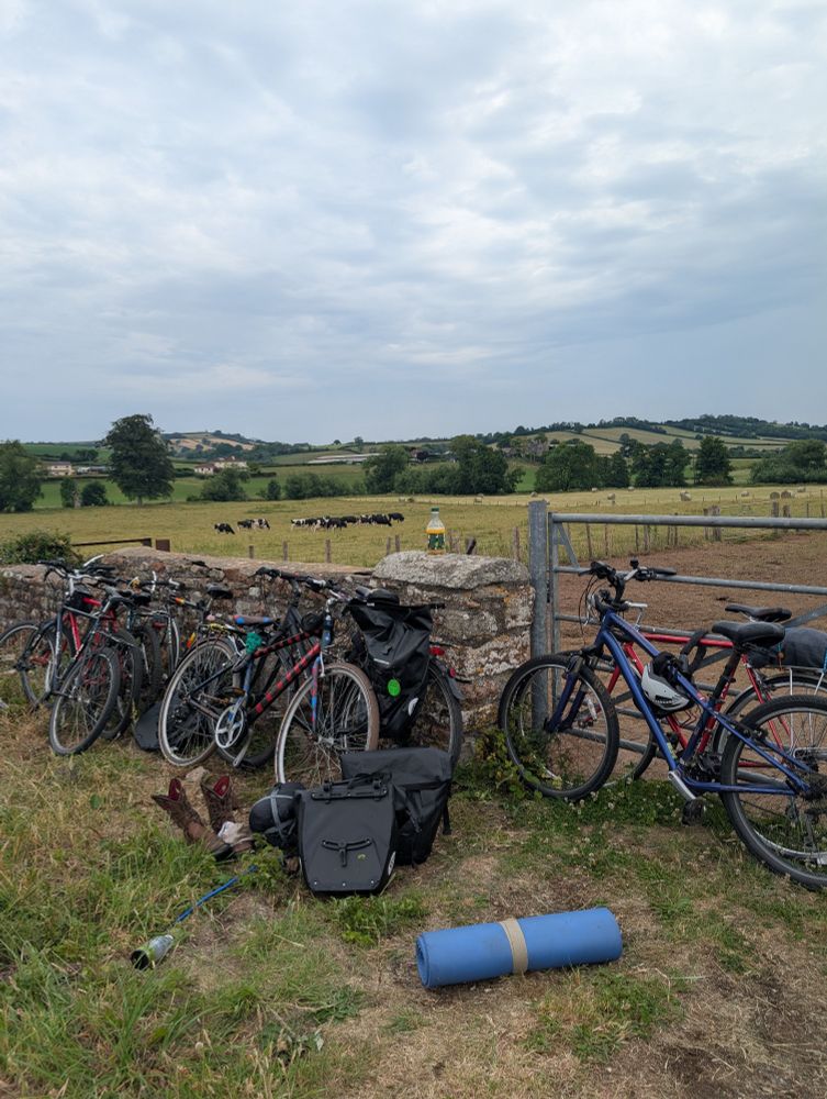 Assorted Bikes and bags against walk and gate