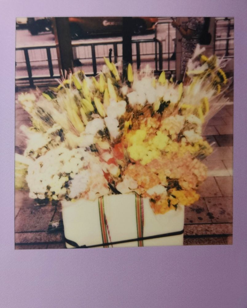 📸: Polaroid Now+ Gen2