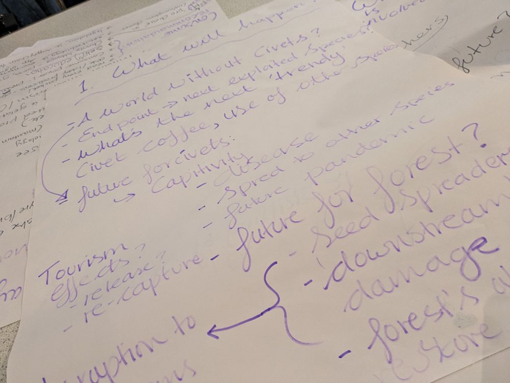 An example board paper with notes on. The notes depict a speculative future where civet coffee continues to grow in demand. The group have written a narrative of species extinction, ecosystem collapse and the next pandemic.