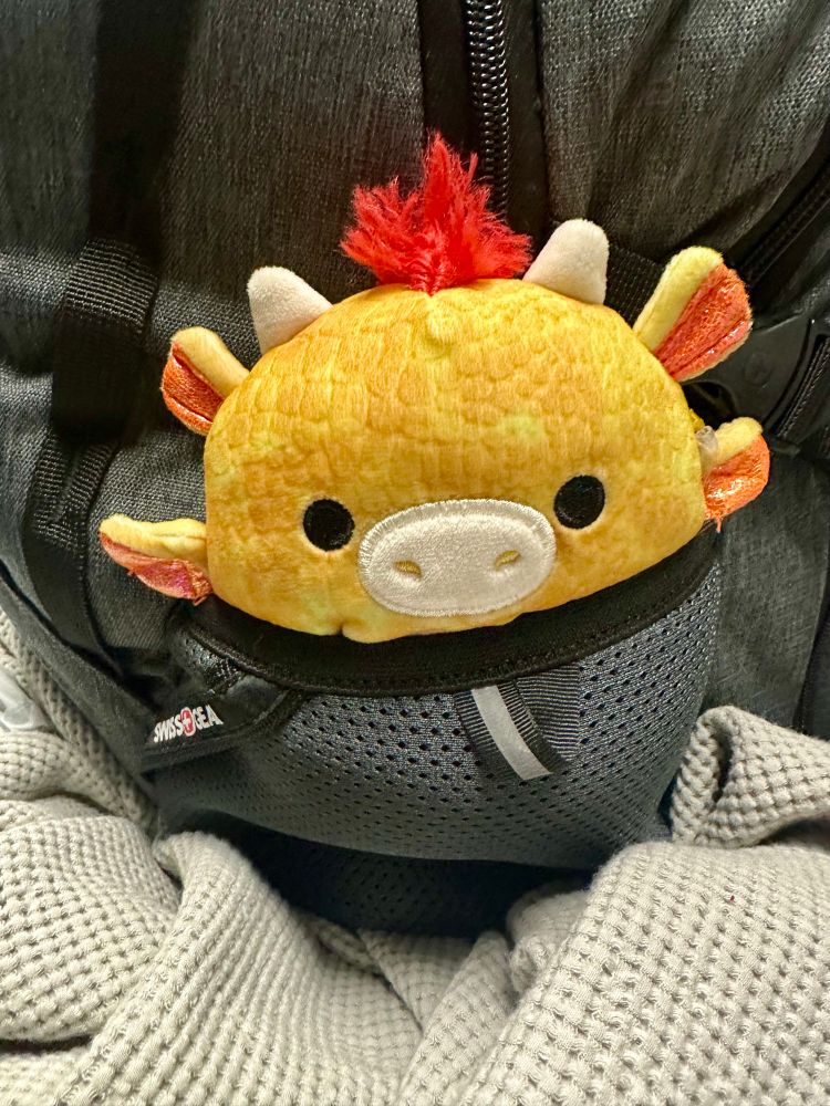 Image of a plushie that looks kinda like my fursona: yellow, vaguely draconic, red mohawk.