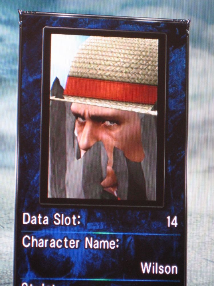 Wilson from Home Improvement in Soul Calibur 5.