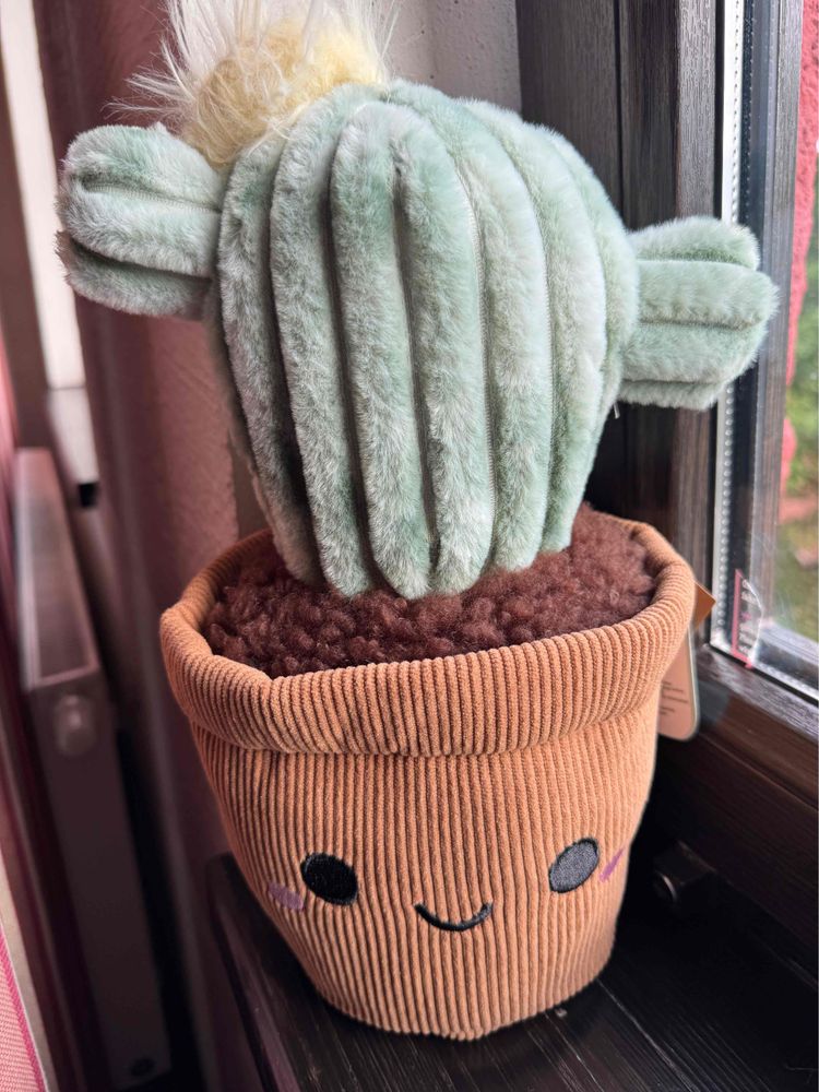 Ein getopfter Plüsch-Kaktus auf einer Fensterbank