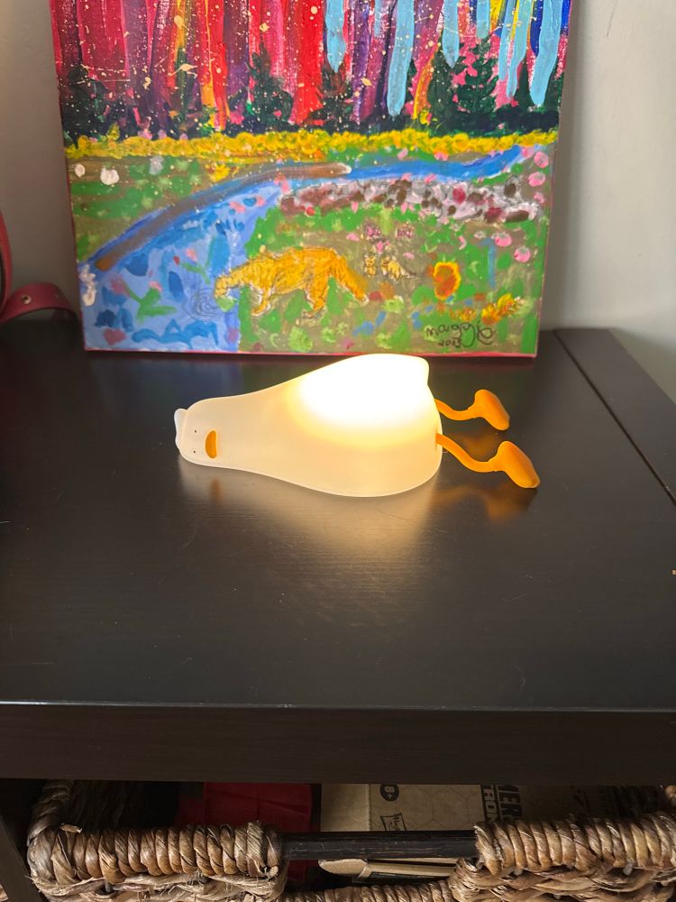 A tired duck lamp illuminated on a bookshelf with a child’s painting in the background. 