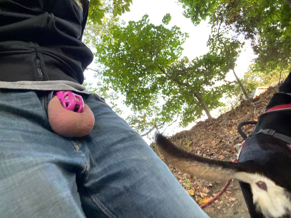 Person in jeans and track jacket walking a dog in nature with cage and balls out