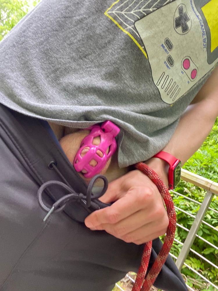 A left arm with watch and leash revealing a caged cock and balls by pulling down the waist. The corner of a gameboy can be seen on the shirt, and a railing with foliage is in the background