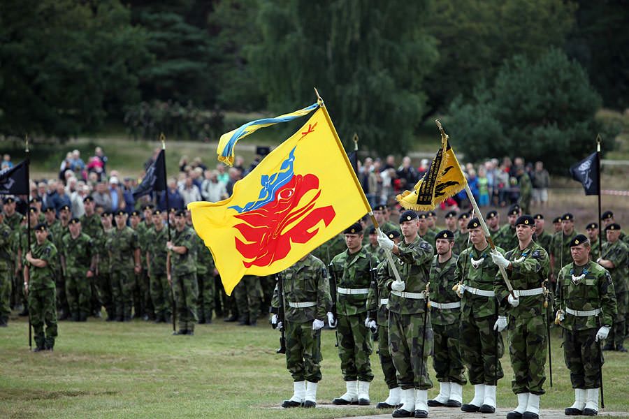 Photo of uniformed soldiers parading with the flag of the 7th Southern Scanian Regiment from 2011. The yellow flag features a red griffin's head with a blue crown. Photo from the Swedish Armed Forces, https://www.forsvarsmakten.se/sv/aktuellt/2011/08/kungen-och-tusentals-besokare-hyllade-p-7/