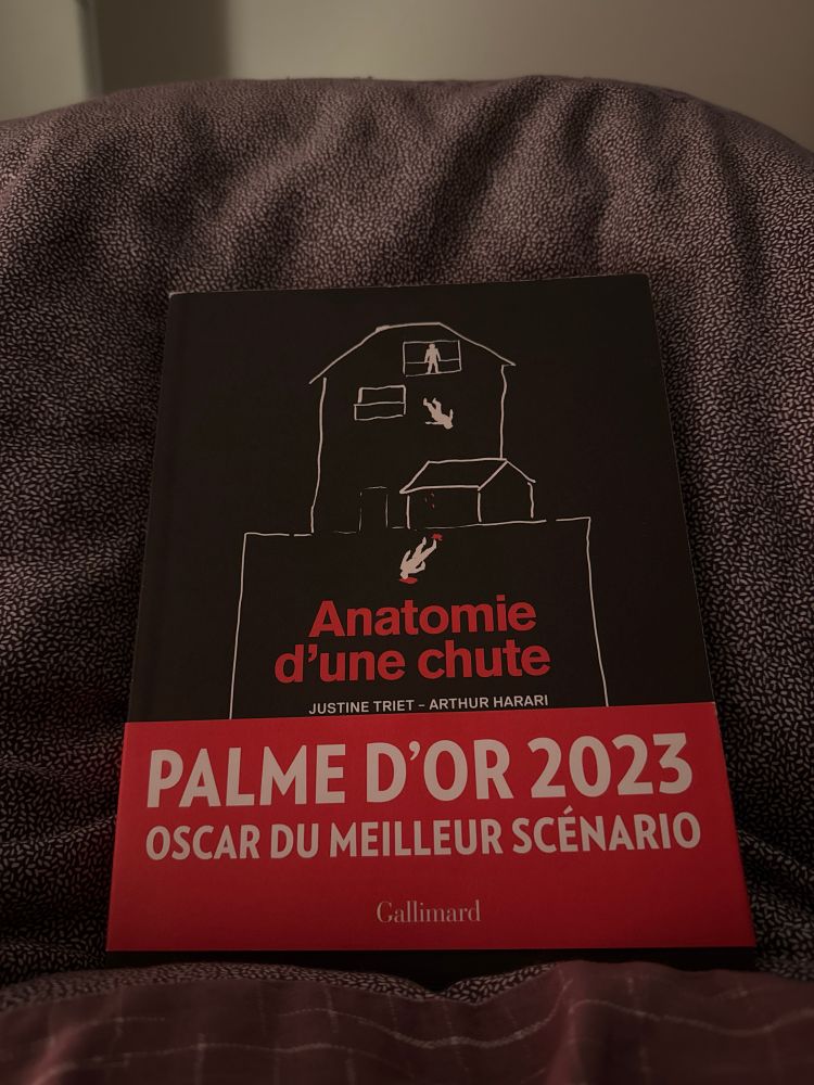 Scénario du film Anatomie d’une chute, commenté par les scénaristes.