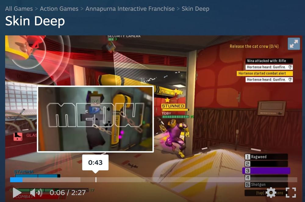 Steam's new video player which looks modern, and shows video previews when you mouseover the progress bar