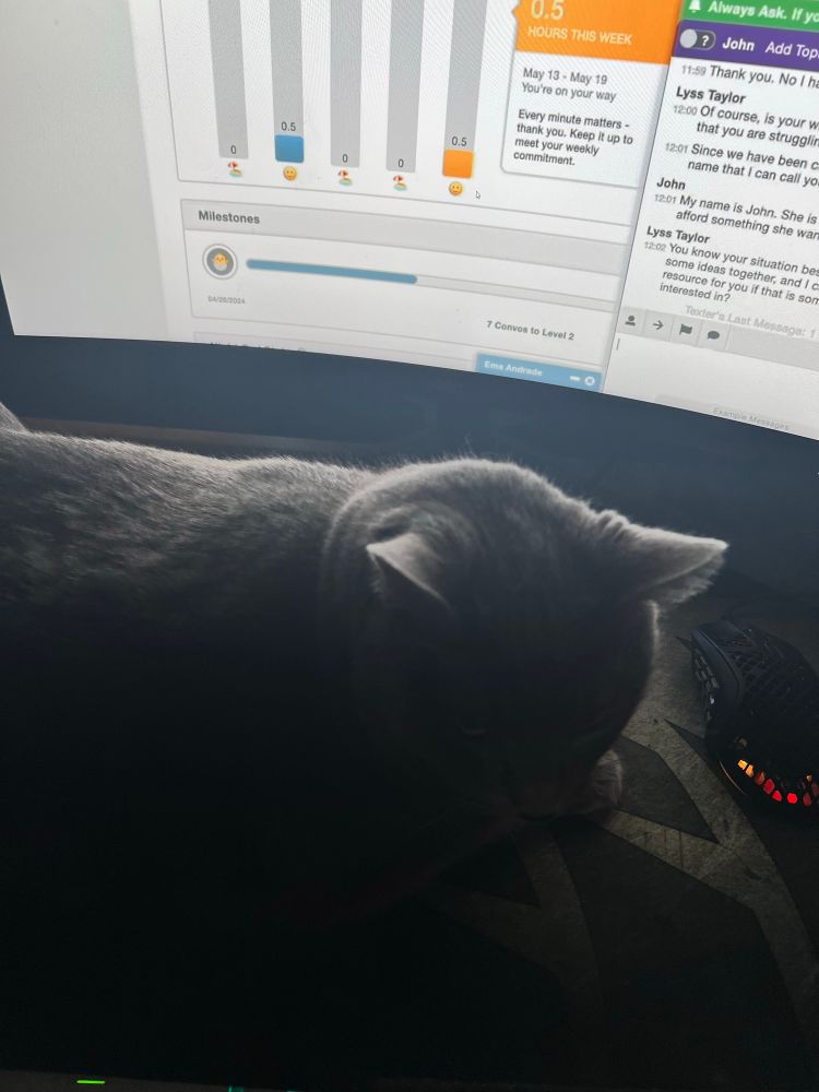 My cat decides to get all up in my face when I’m trying to work. 