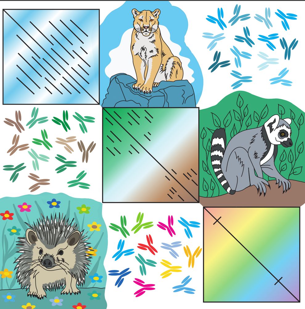 Pospelova et al. present a comparative analysis of adaptive immune loci across diverse mammalian species, uncovering relationships between locus architecture, characteristics of immune genes, and population dynamics. The artwork illustrates how the structure of immunoglobulin heavy chain loci influences gene variability in three representative species from the study – the mountain lion, the ring-tailed lemur, and European hedgehog.