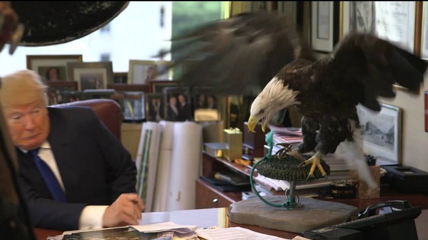 Donald Trump sitting at a desk, as part of attempting to film a TV commercial in 2016.  Mr. Trump is cringing and recoiling as a bald eagle, that was to be part of the advertisement, tries to attack him.