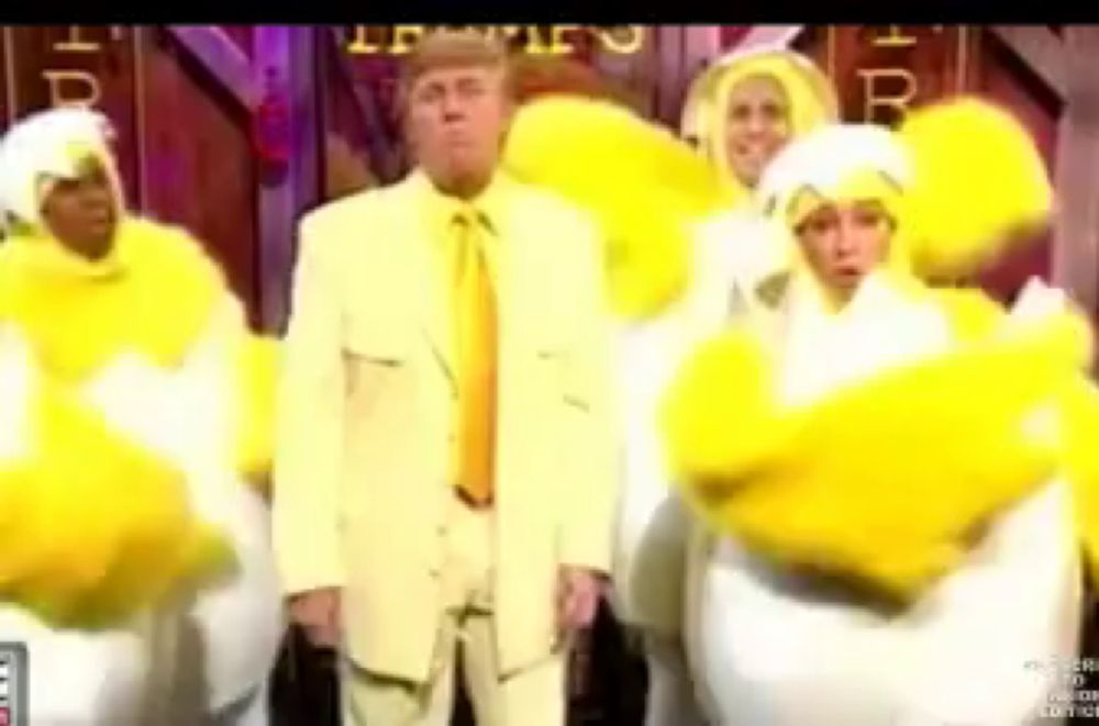 Trump Chicken GIF