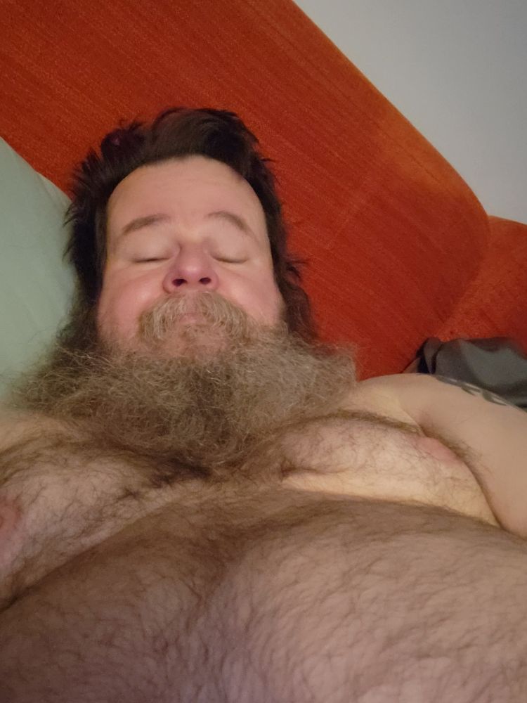 Shirtless middle-aged man sprawled comfortably in bed, displaying his chest hair, belly hair, and large beard.