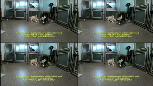 automated screenshot of Big Brother live feeds, appears feeds have returned
(images/1749829795.jpg: 0)