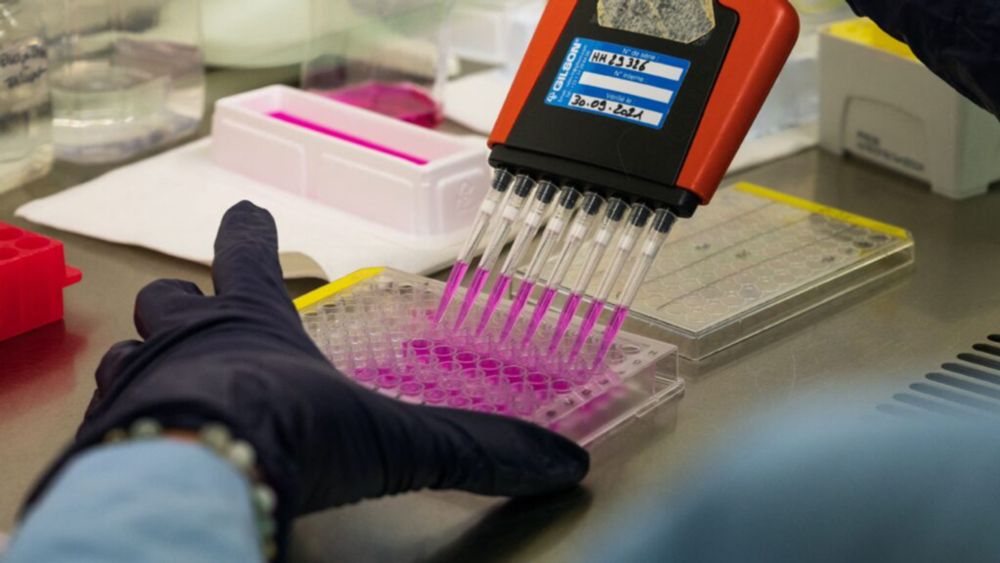 Cancer vaccines in development rely on mRNA technology under attack by RFK Jr. “I am concerned that this could bleed over," an oncologist says.