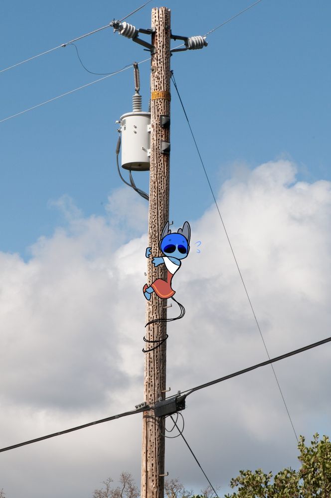 Zealous Momentum climbing on a telephone pole (stock image lol). She seems scared to come down for some reason.