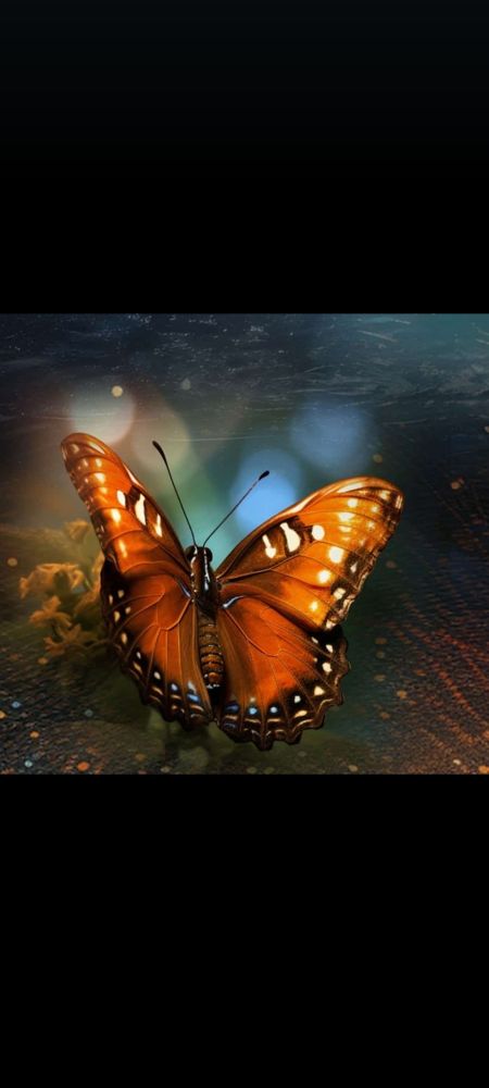 Comment image