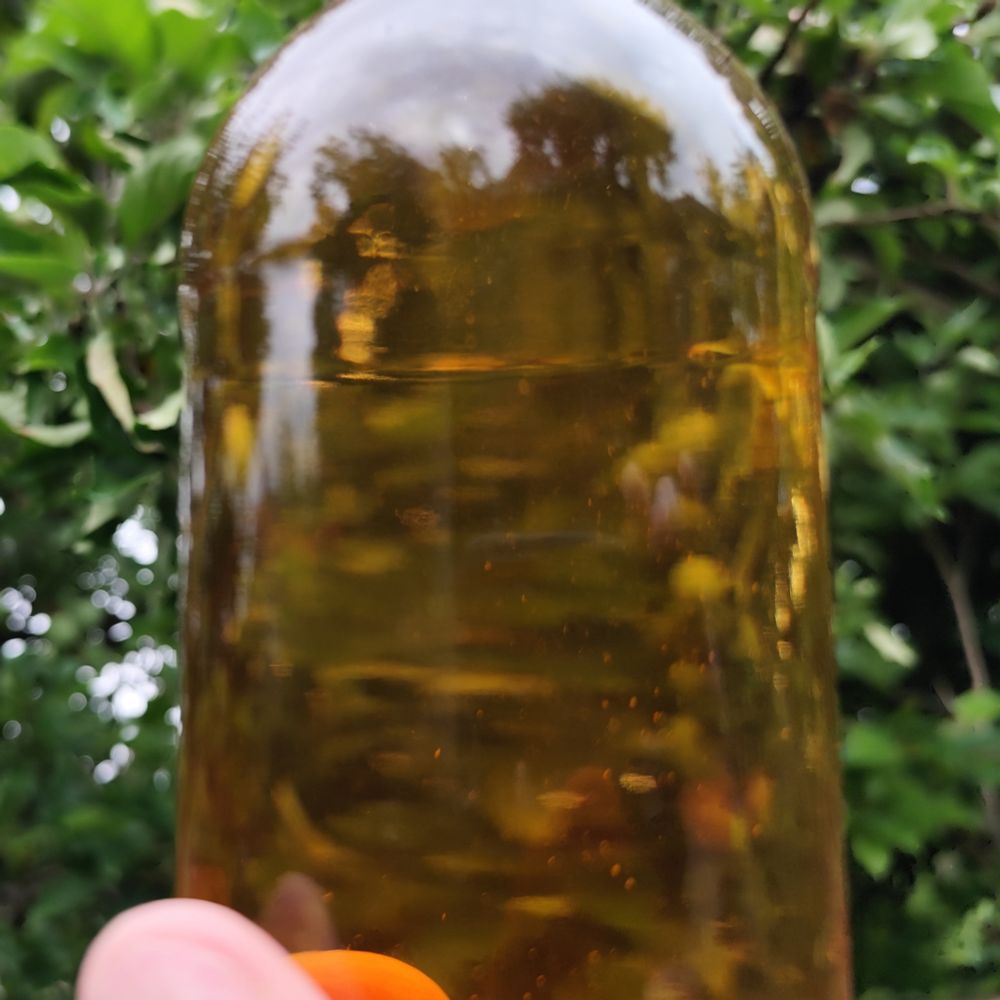 Bottle of our cider showing clarity.