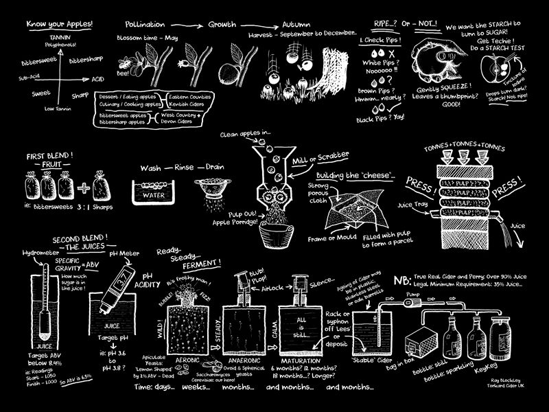 Banner to help discover & explain the journey from apple through to cider. 