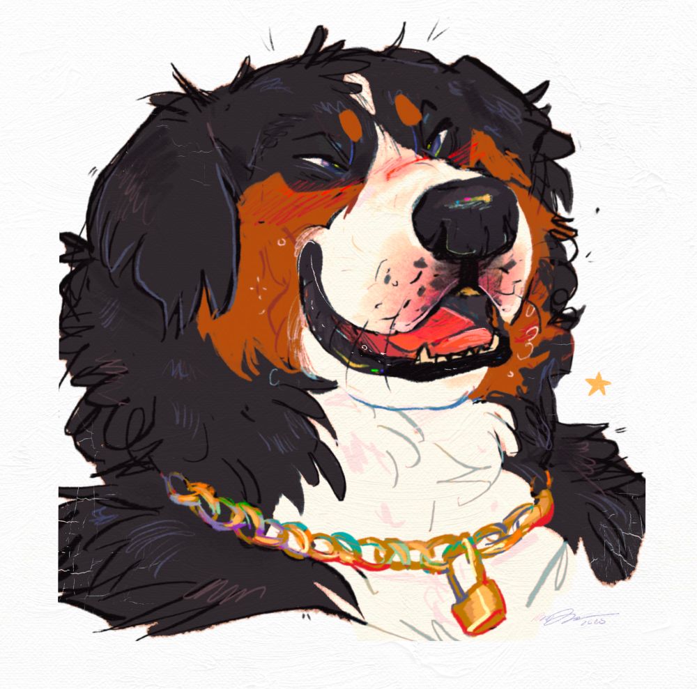 Bust sketch of a chilled out Bernese mountain dog sona wearing a golden chain with a lock