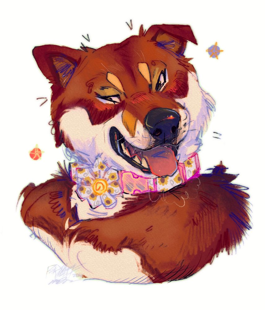 Digital portrait of a sweet, sassy little brown shiba mix wearing a floral collar with stars around them.