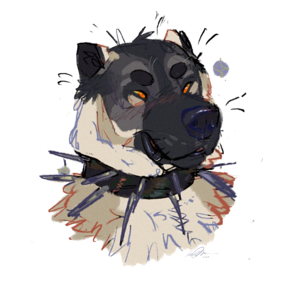 completed digital colored headshot doodle of a natural colored kangal shepherd wearing a black, spiked collar