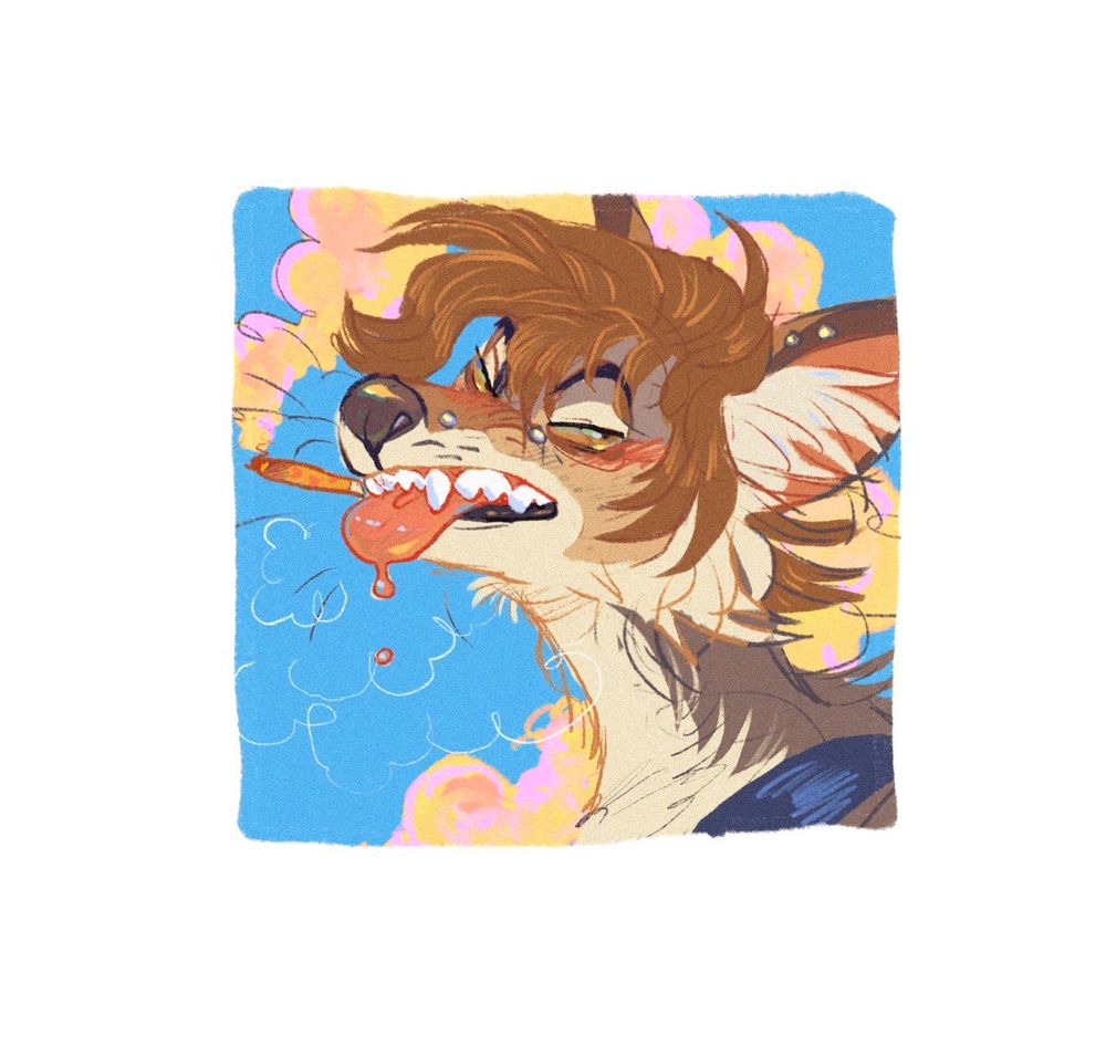 Colorful icon of a natural colored canid snarling while smoking a joint!
