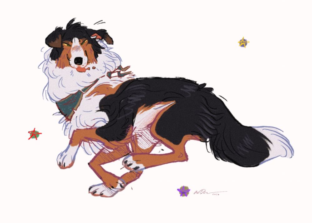 Digital fullbody commission of a tricolored English shepherd in the middle of a sprint wearing a blue bandanna tied around its neck, drool flying off the tongue. Stars help balance the white space 