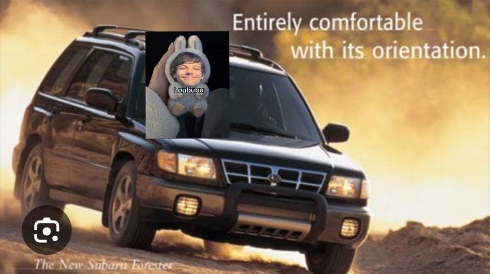 Loububu sitting on a subaru with title entirely comfortable with its orientation 😁