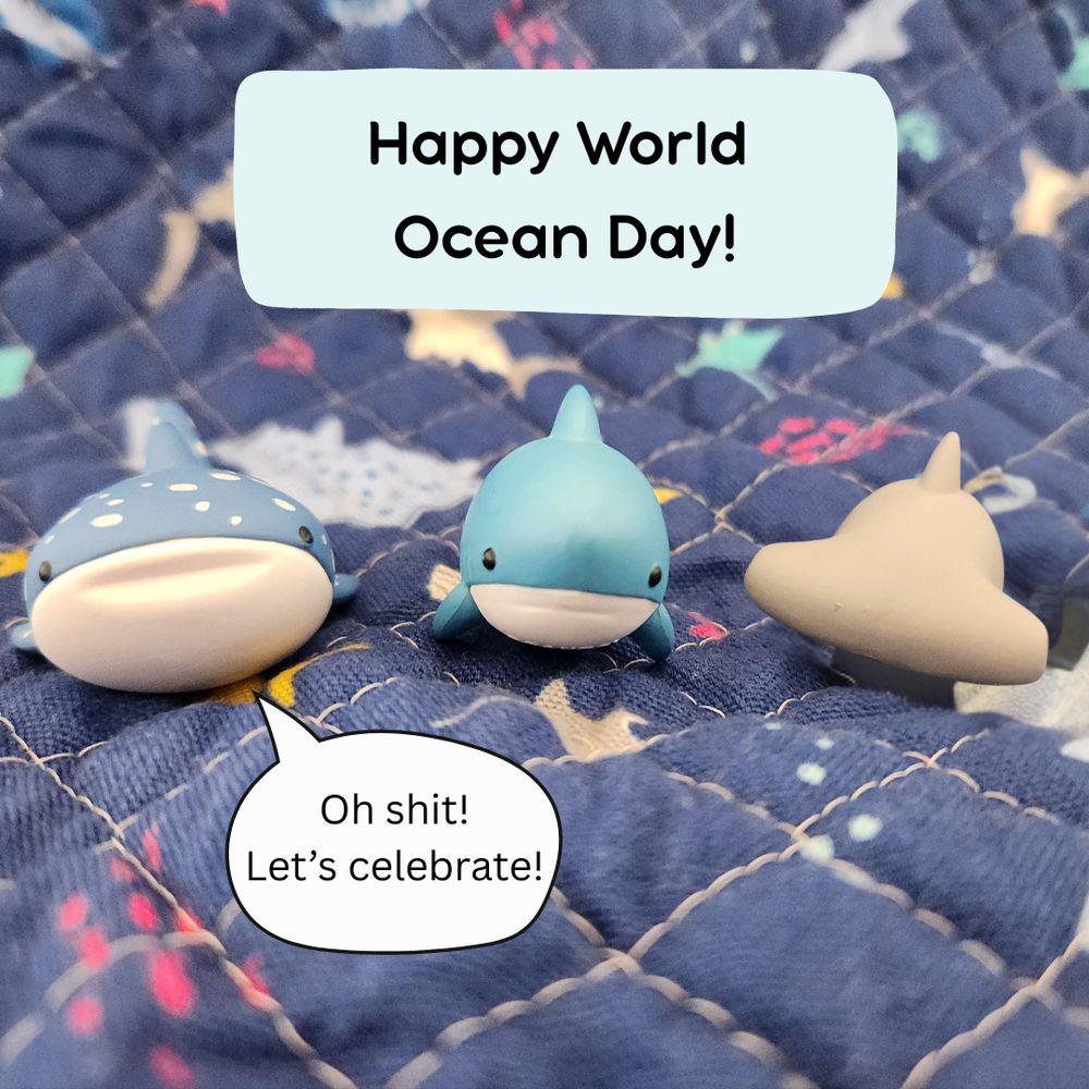 the whale shark says "oh shit! let's celebrate" and is joined by a tiny toy plastic blue-colored white shark and hammerhead by its side.
Floating text above the three sharks says "Happy World Ocean Day!"