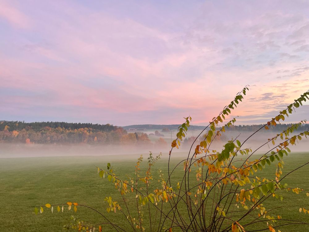 Blick über ruhige Herbstlandschaft….