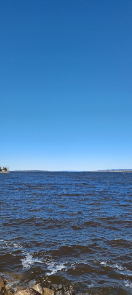 Ottawa River and nearly invisible bufflehead ducks