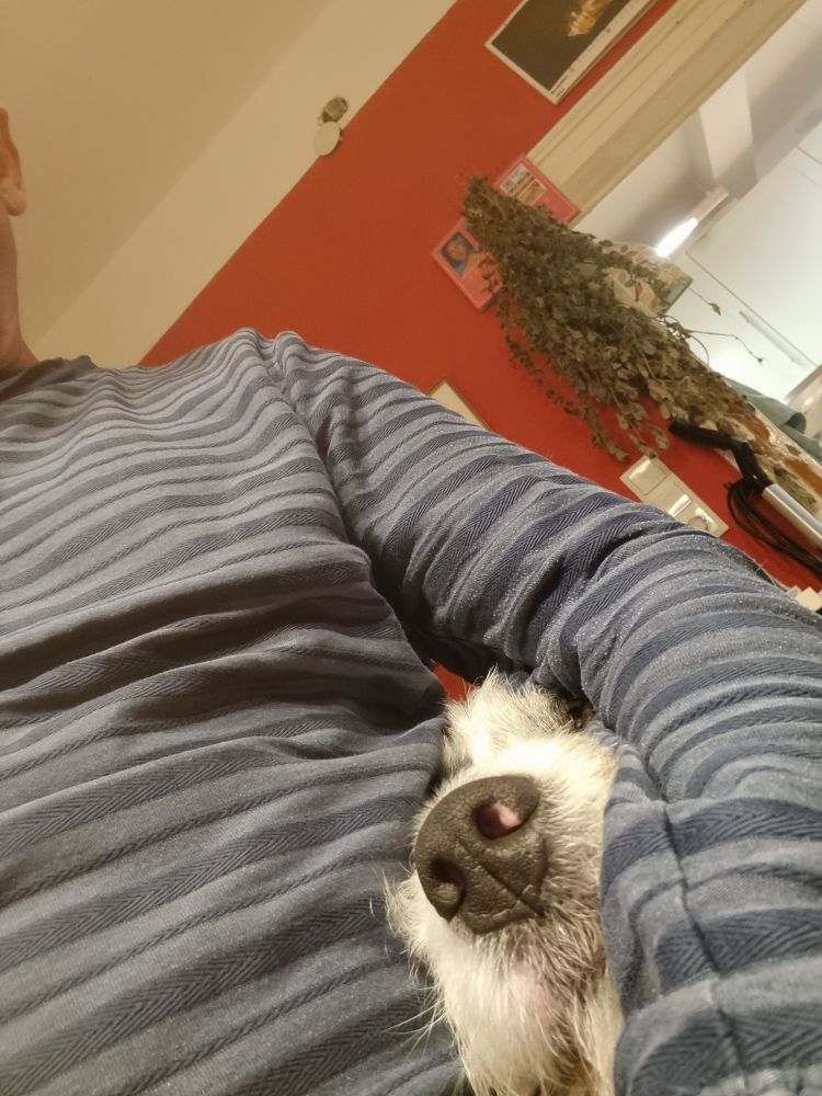 Ich im Streifenshirt. Unter meinem Arm lugt eine Hundenase durch.