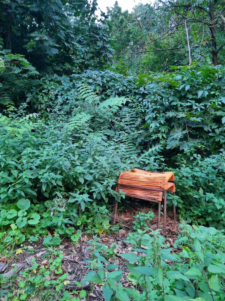 Inmitten von grünen Pflanzen stehen gestapelt zwei Hocker. Die Sitzfläche ist aus orangenen Seilen. 