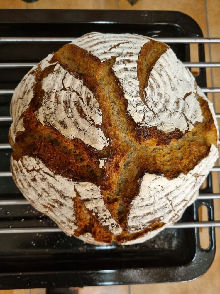Blick von oben auf ein rundes braunes Brot. Es hat eine aufgebrochen Kruste und ist zum Teil mit Mehl bestreut.
