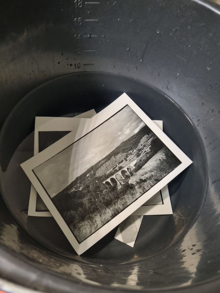 Wasserwerfer mit klaren Wasser und zwei darin schwimmenden Schwarz weiß Fotos
