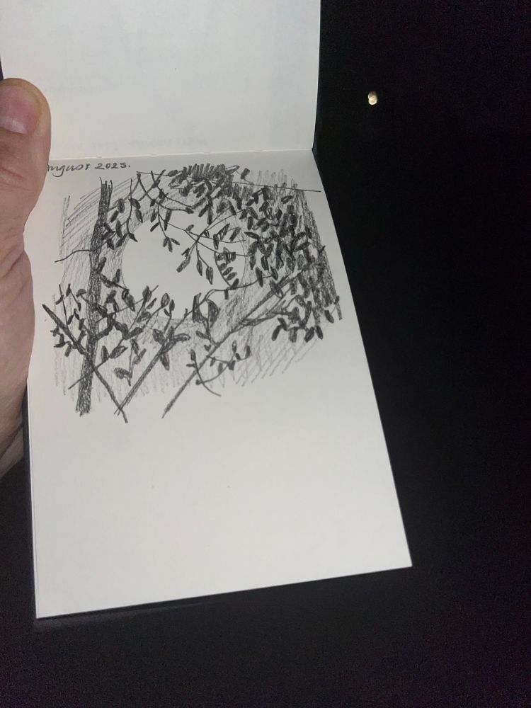 Pencil sketch of the full moon seen through dark foliage 