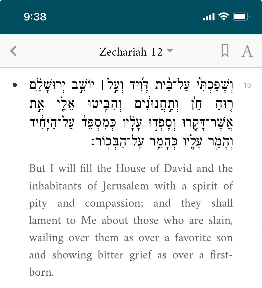 Zechariah 12:9 in Hebrew and English: But I will fill the House of David and the inhabitants of Jerusalem with a spirit of pity and compassion; and they shall lament to Me about those who are slain, wailing over them as over a favorite son and showing bitter grief as over a first born. 
