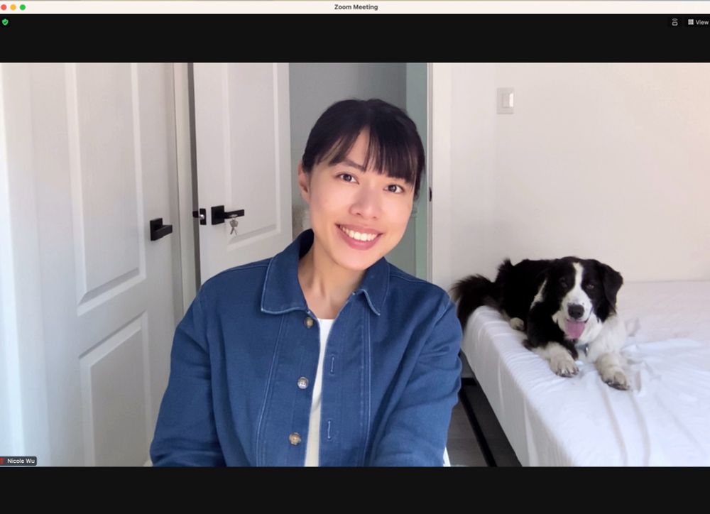 Zoom meeting screenshot with a dog in the background