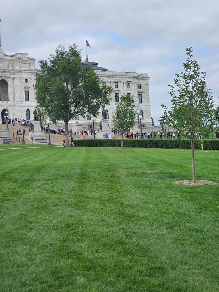 A line of people stands outside the east side of the Minnesota State Capitol, a grand white marble building with ornate architecture and arched windows. The Minnesota state flag flies at half-staff above the east wing. In the foreground, a neatly mowed green lawn stretches out with young trees planted in evenly spaced rows. The main dome of the Capitol is not visible in the image. The sky is mostly cloudy with patches of blue.