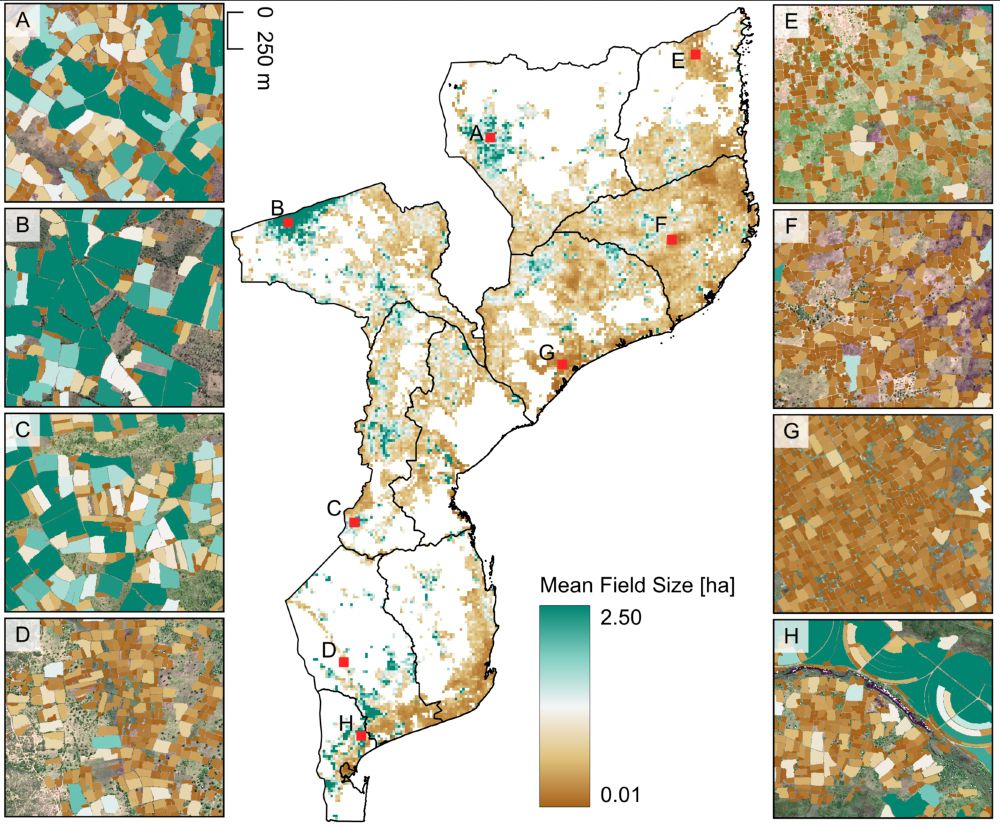 National-scale map of mean field size across Mozambique. Selected zoom ins provide details on individual fields. 