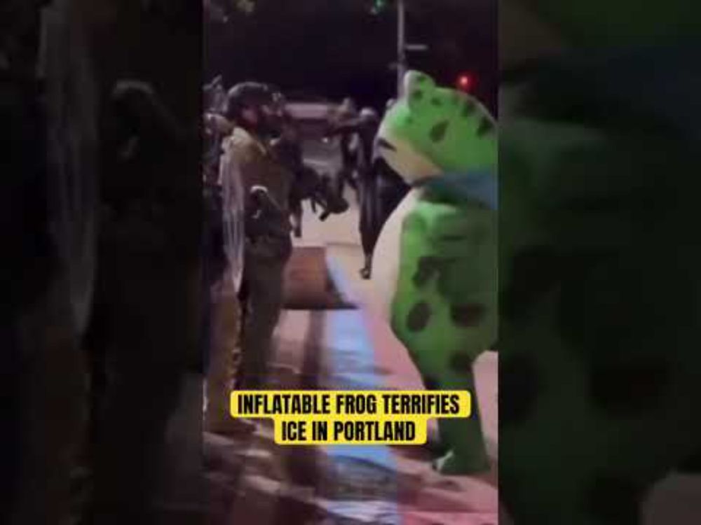 Inflatable Frog SCARES OFF ICE in Portland