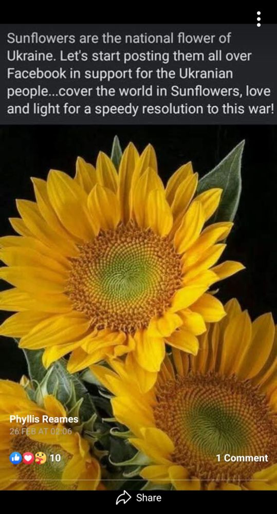 Comment image