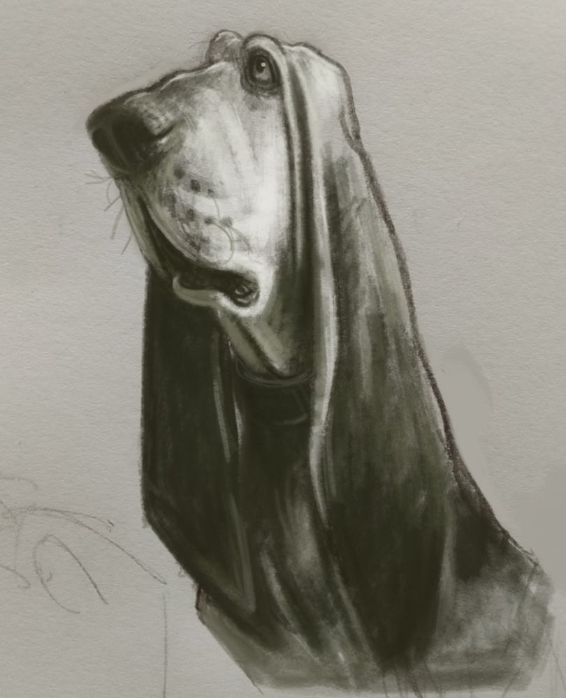 Sketch de uma caricatura de um cachorro bloodhound visto ligeiramente de perfil.
