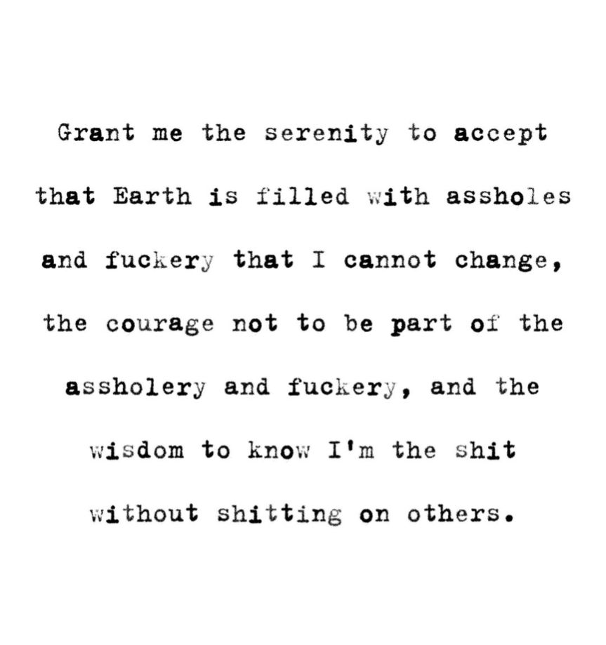 Grant me the serenity to accept that Earth is filled with assholes and fuckery that I cannot change, the courage not to be part of the assholery and fuckery, and the wisdom to know I'm the shit without shitting on others.
