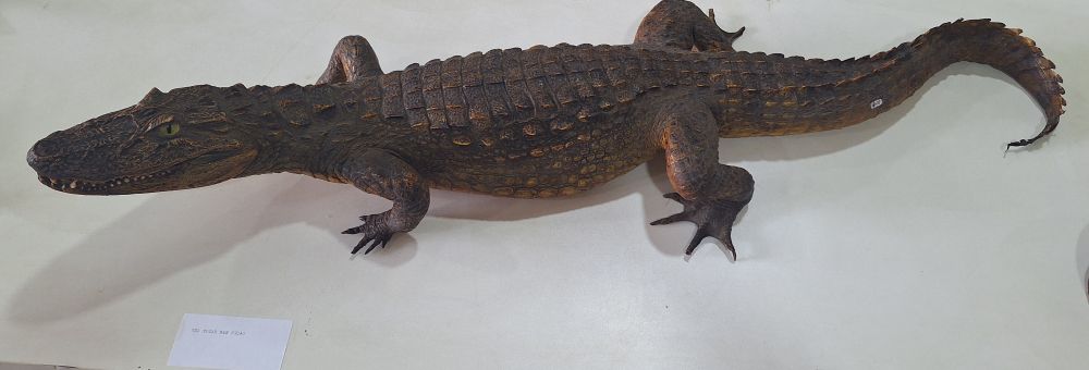 Aos que disseram que sou uma instituição acabada!